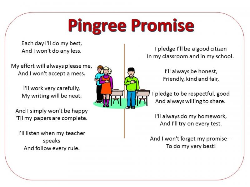 Pingree Promise