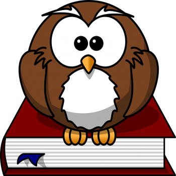 Owl on Book