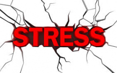 Logo with word Stress in Red with Cracks in the background spanning outwards